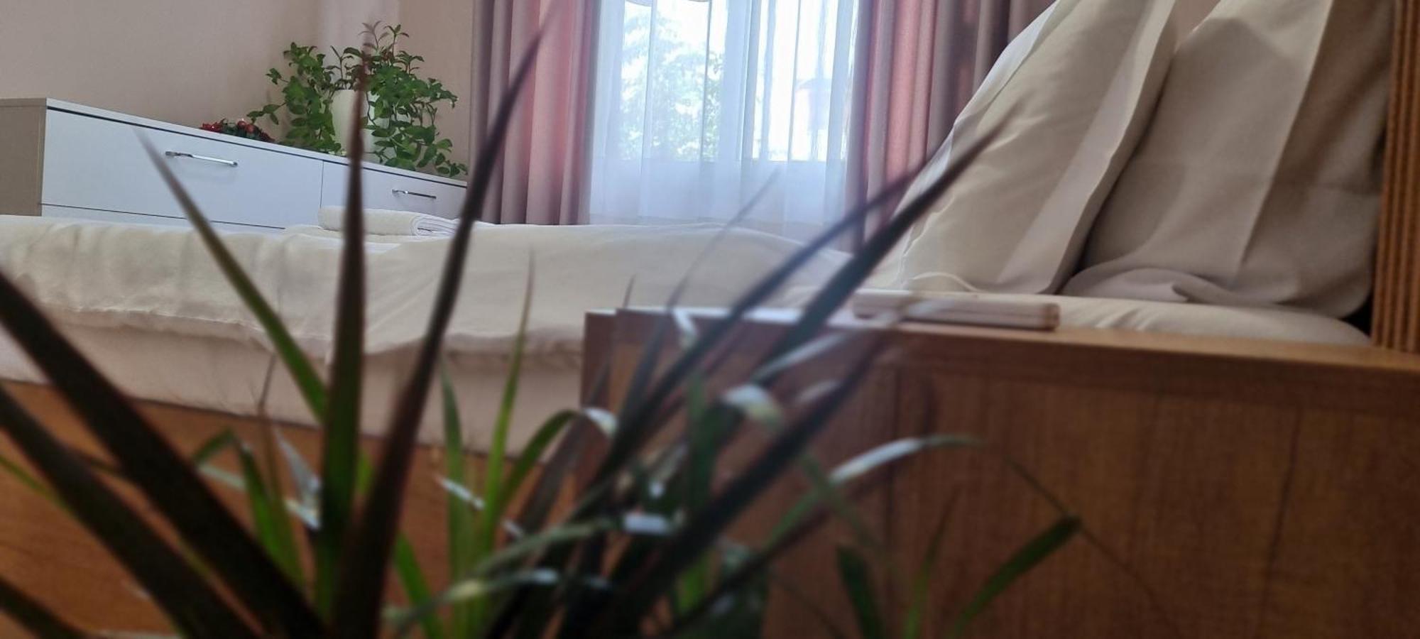 Comfy Apartment- Sunny Balcony 地拉那 客房 照片